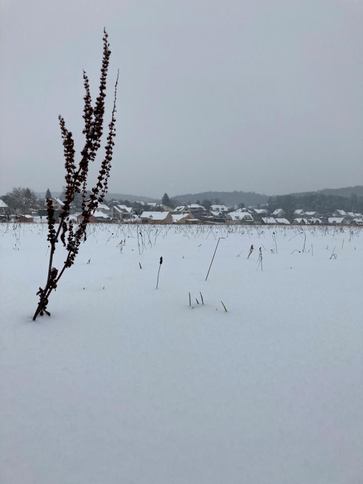 vacances d'hiver à Dung (14)