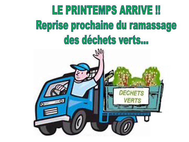 RAMASSAGE DES DÉCHETS VERTS