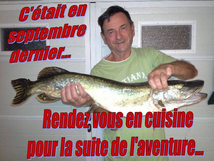 BROCHET DE YVES