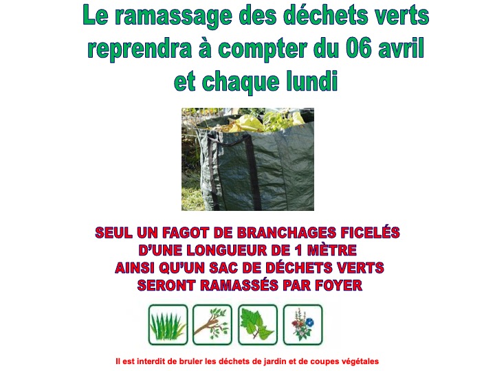 ramassage déchets verts2