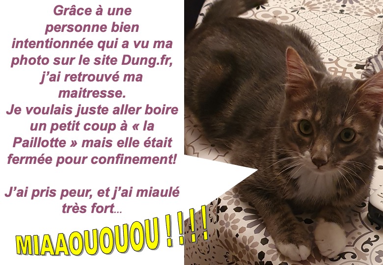 chat retrouvé2