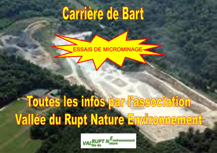 carrière de Bart1