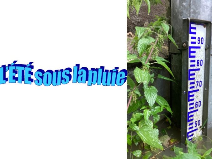 l'été sous la pluie1