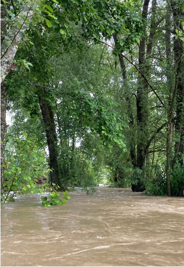 l'été sous la pluie21