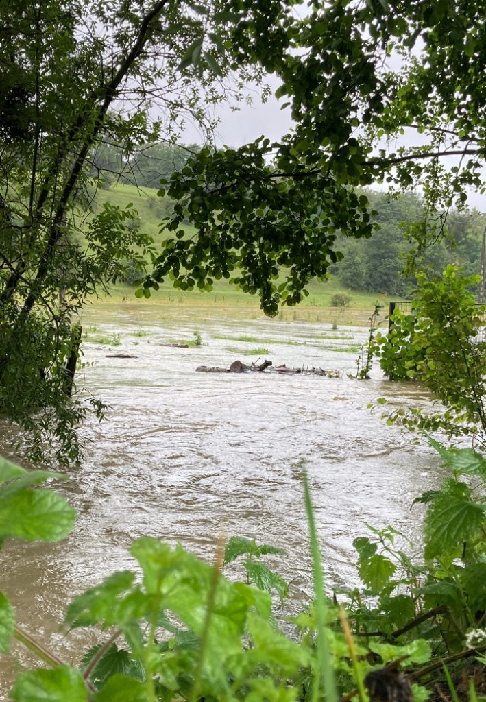 l'été sous la pluie23