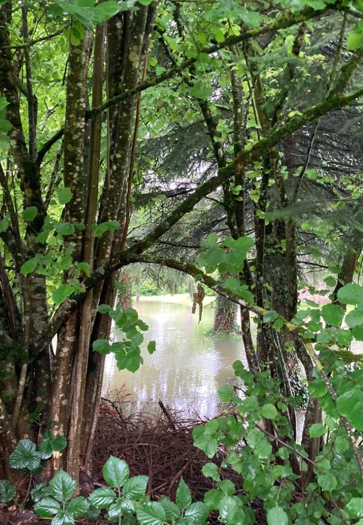 l'été sous la pluie24