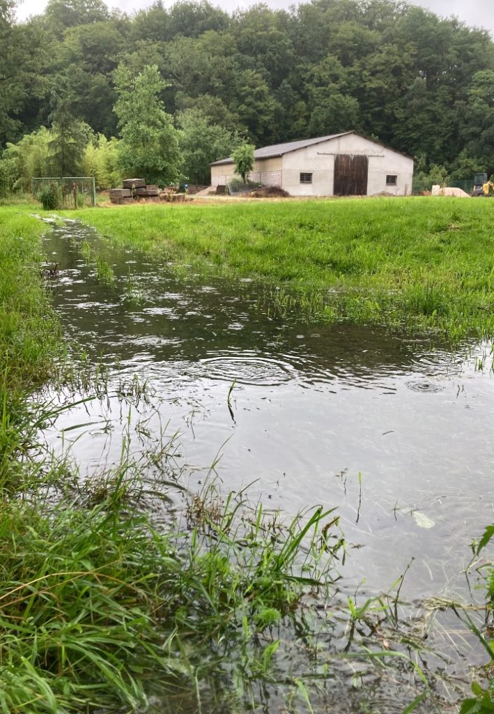 l'été sous la pluie 25