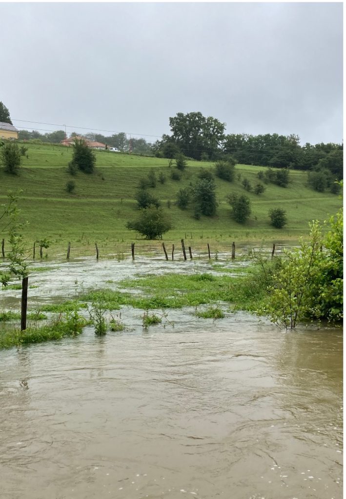 l'été sous la pluie11