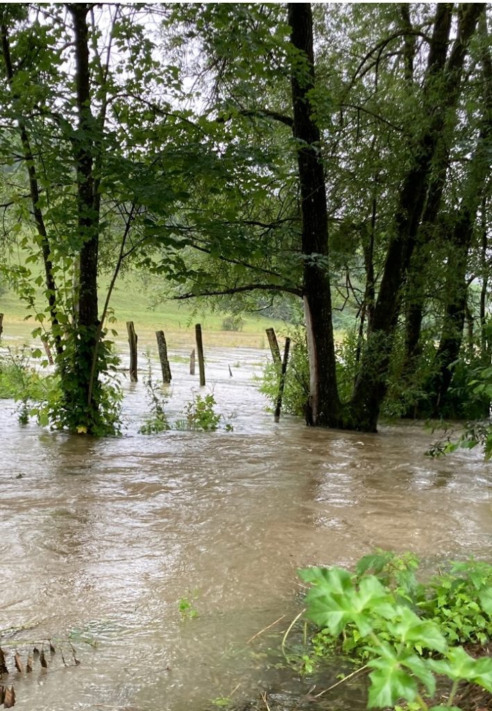 l'été sous la pluie12