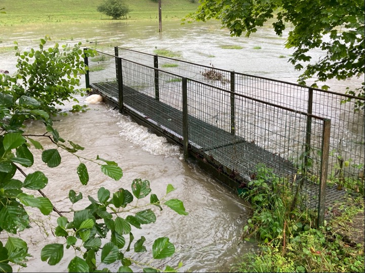 l'été sous la pluie5