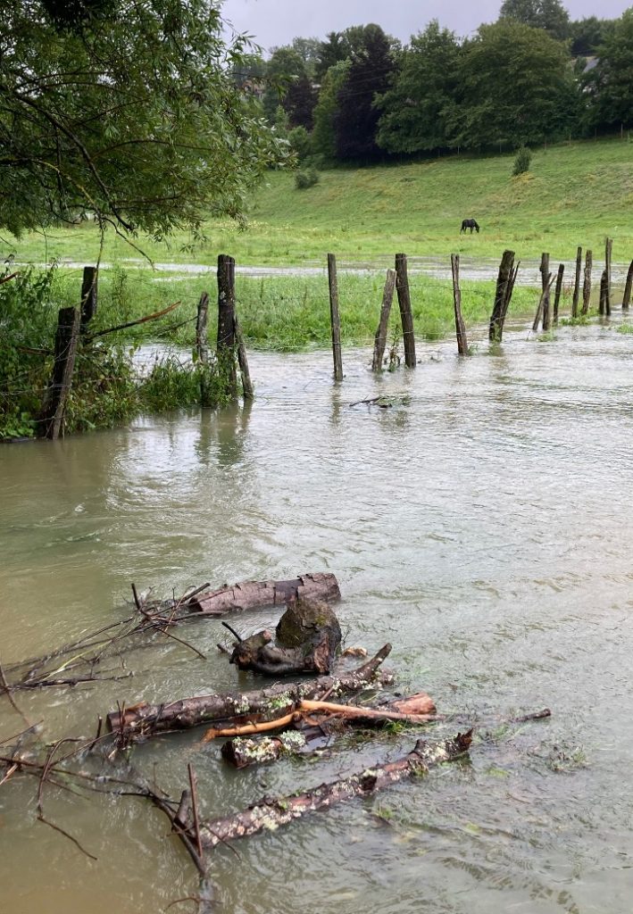 l'été sous la pluie14