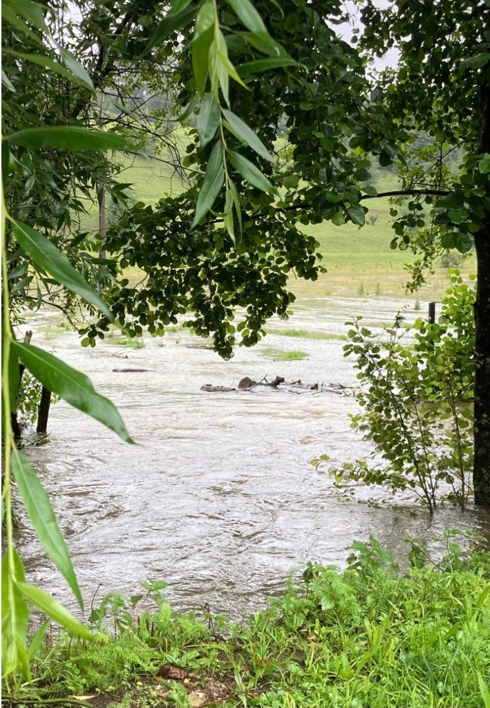 l'été sous la pluie15