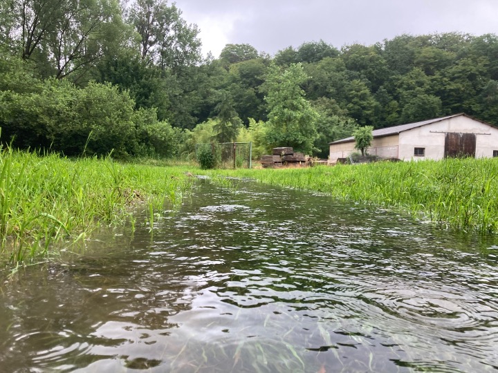 l'été sous la pluie7