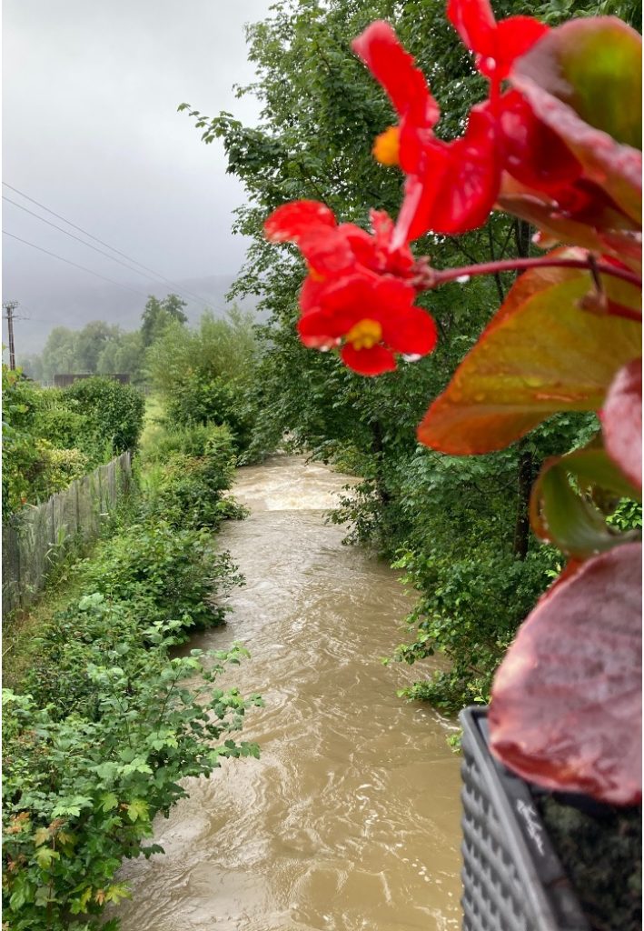 l'été sous la pluie16