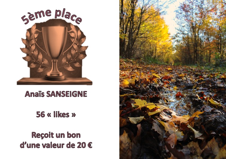 résultats concours photos7