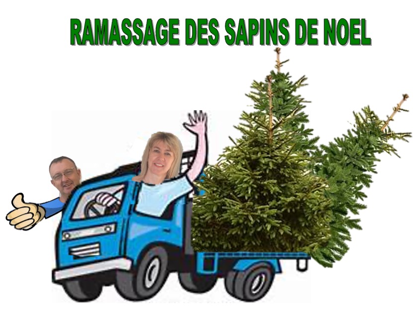 RAMASSAGE DES SAPINS DE NOËL PAR SYLVIE ET CHRISTOPHE