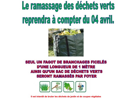 ramassage déchets verts2