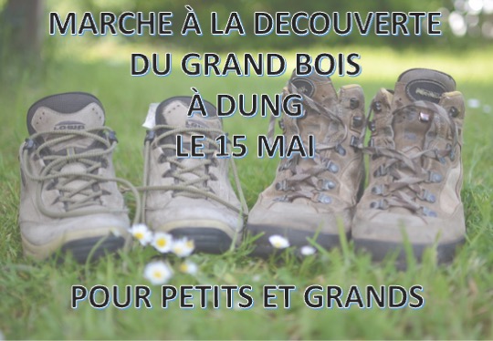 MARCHE AU GRAND BOIS LE 15 MAI