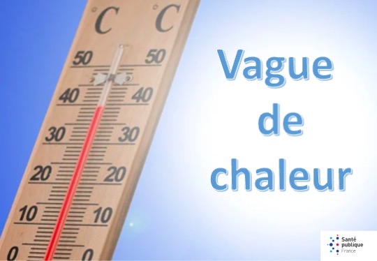 VAGUE DE CHALEUR