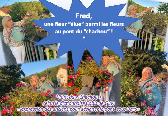 arrosage des fleurs4