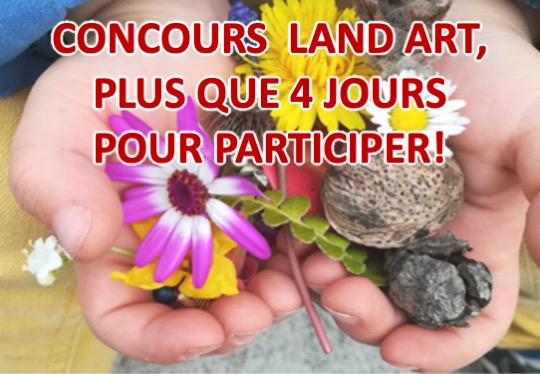 LAND ART, PLUS QUE 4 JOURS POUR PARTICIPER