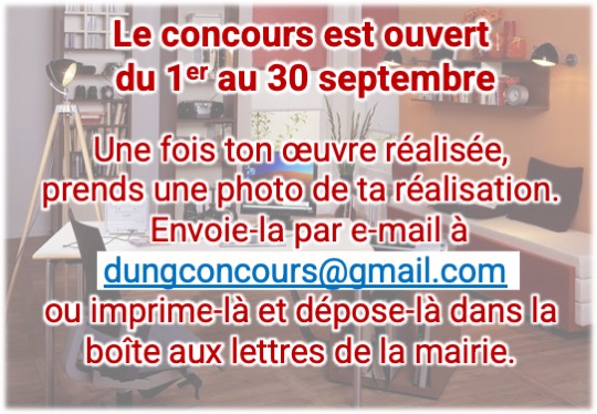 Concours land art11