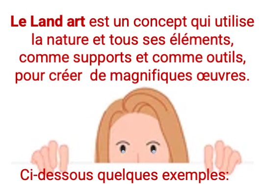 Concours land art2