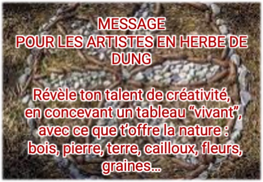 Concours land art9