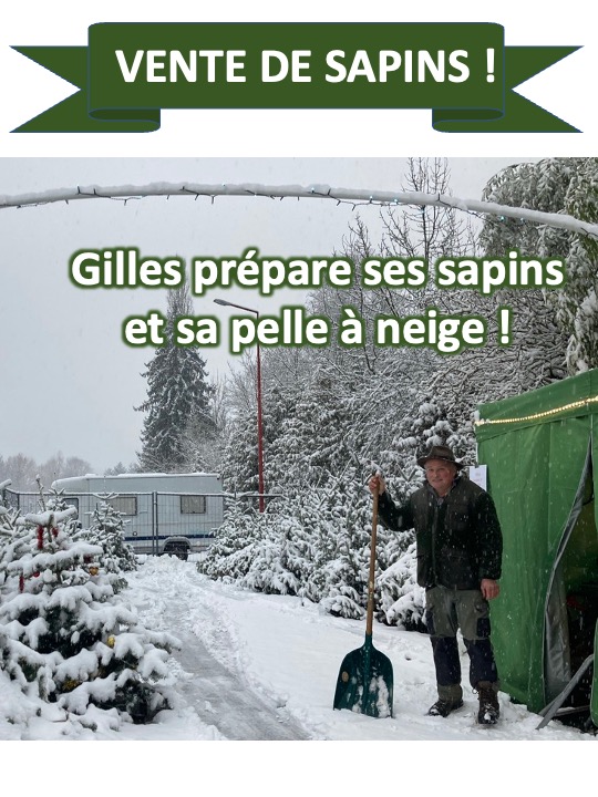 VENTE DE SAPINS