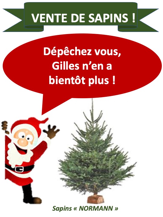 LA FIN DES SAPINS