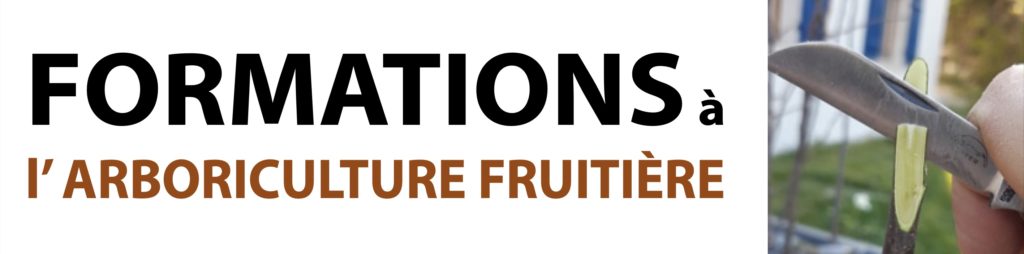 FORMATION À L’ARBORICULTURE FRUITIÈRE