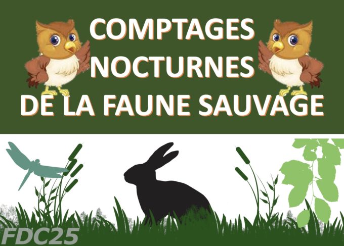 comptages nocturnes1