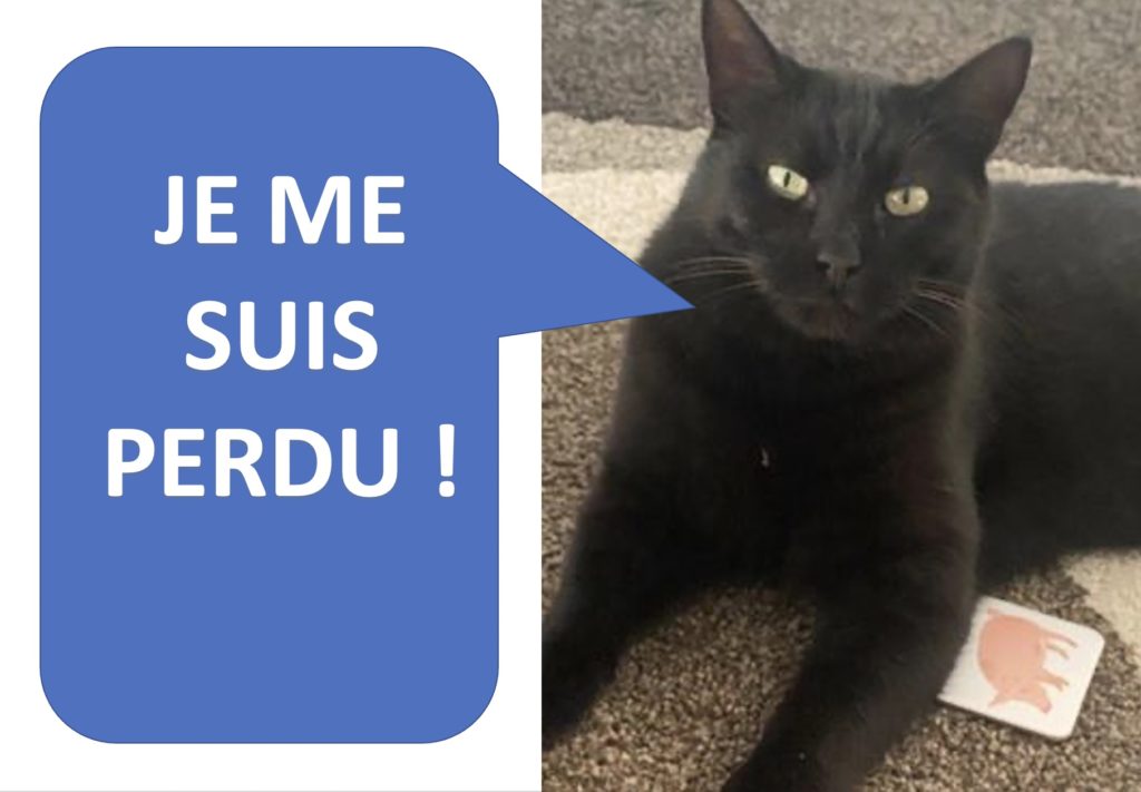 perdu chat Iron1