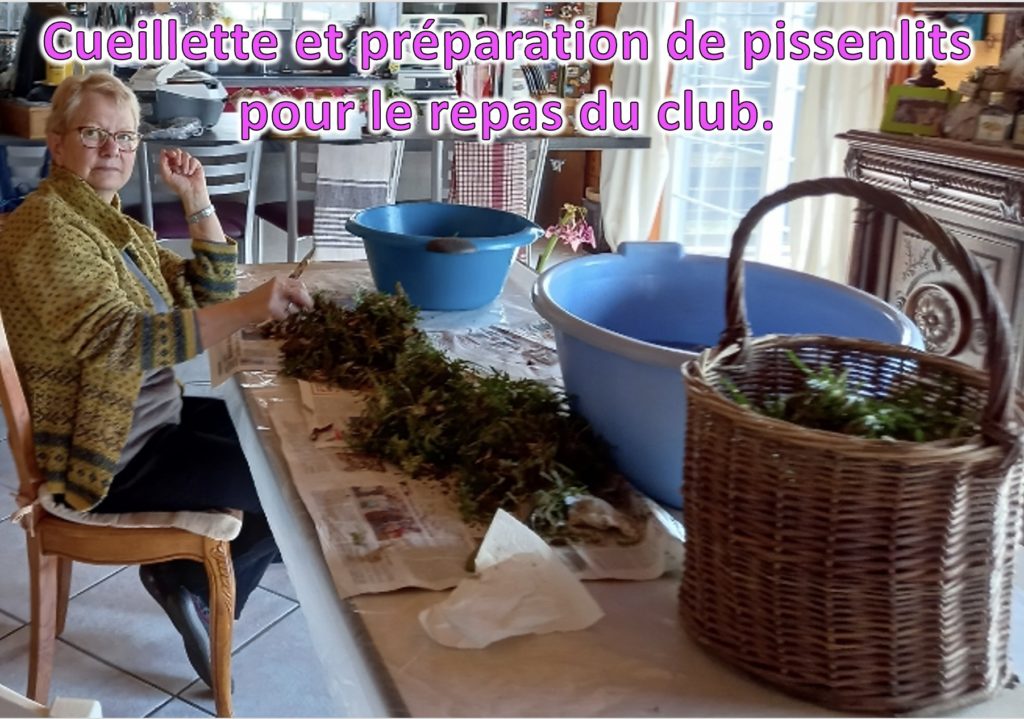 club beignets et pissenlits2