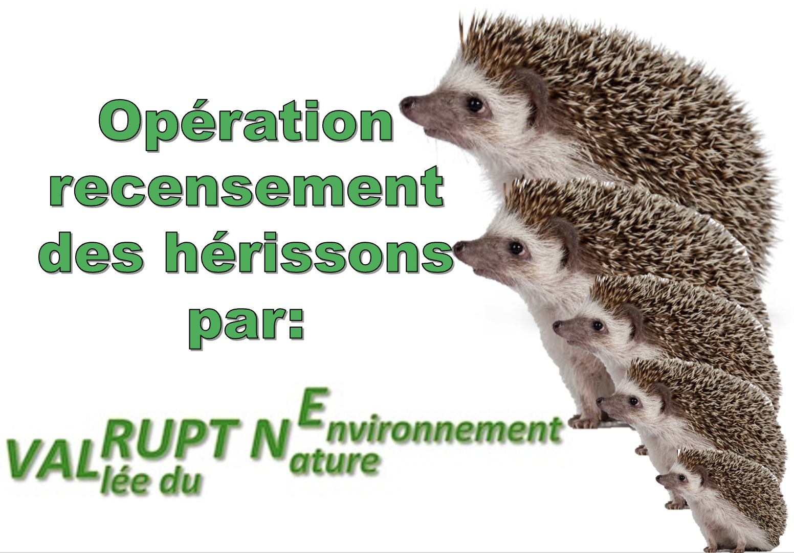 RECENSEMENT DES HÉRISSONS - Mairie de DUNG