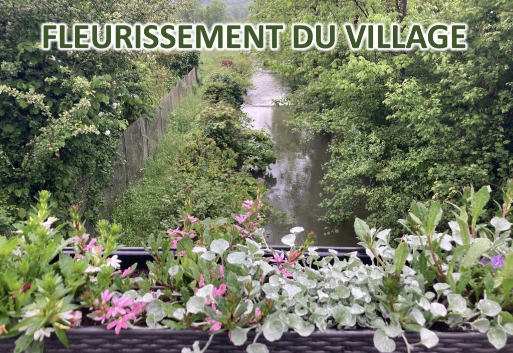 fleurissement du village1