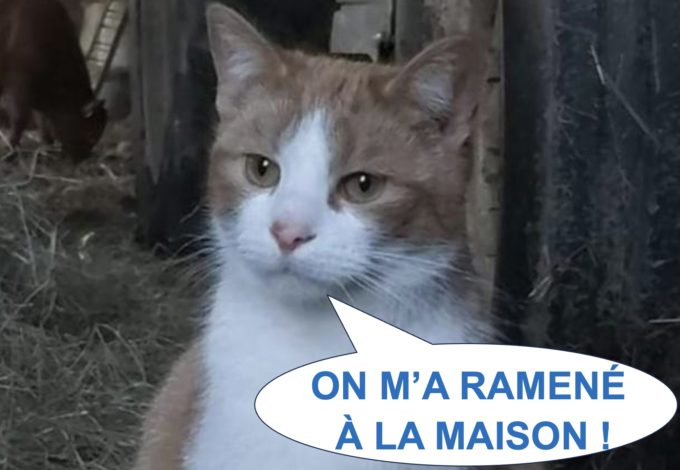 django est retrouvé1