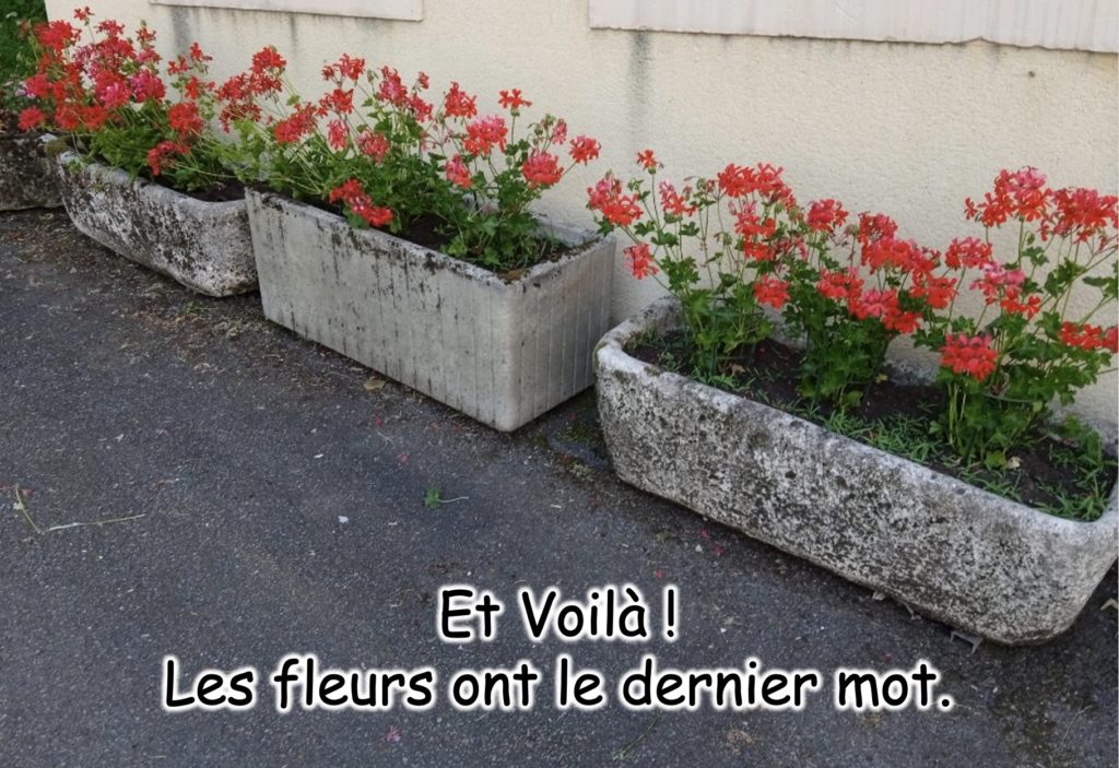 fleurs volées5