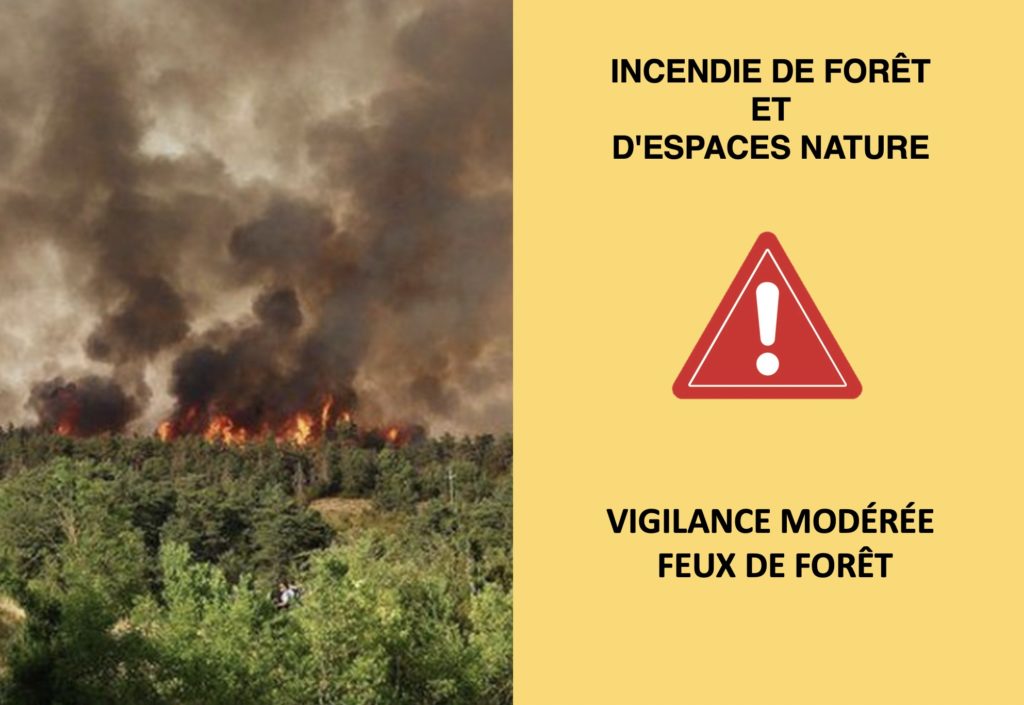 INCENDIE DE FORÊT ET D’ESPACES NATURE