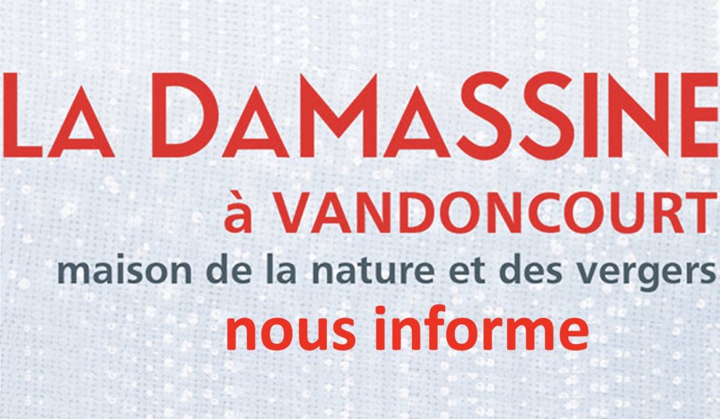 LA DAMASSINE NOUS INFORME