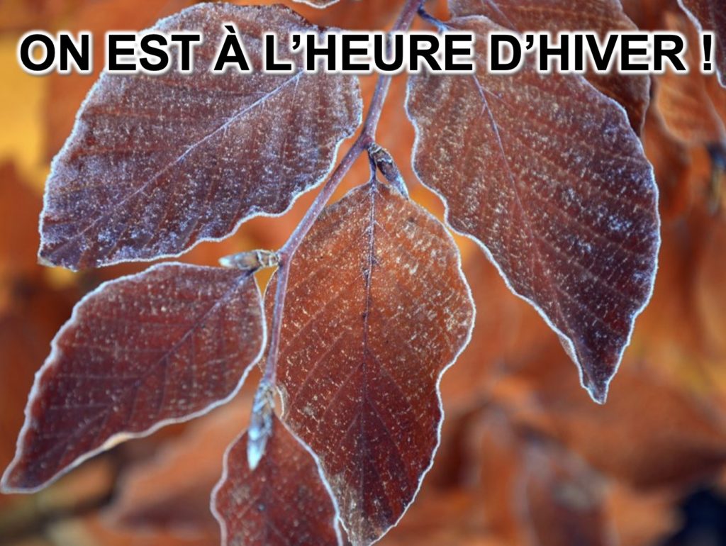 NOUS SOMMES À L’HEURE D’HIVER !