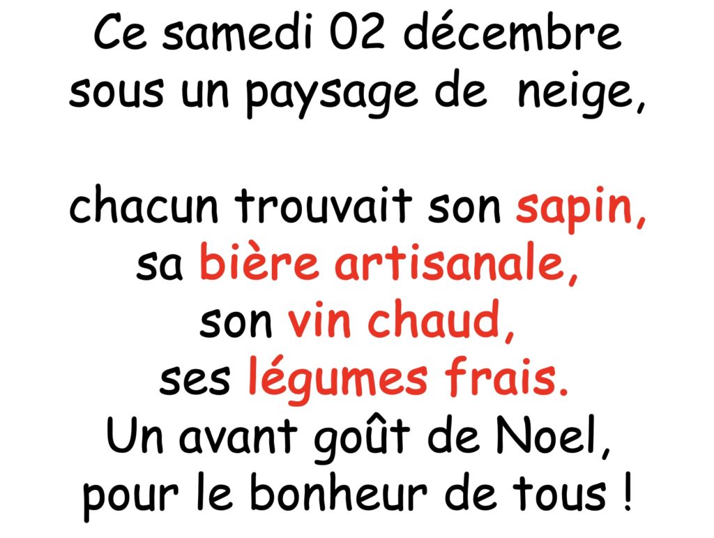 noel et son marché2