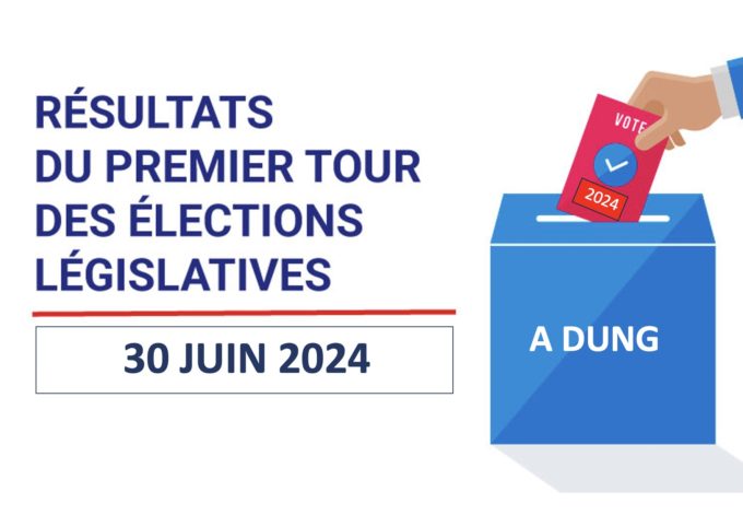 élections législatives 1er tour1