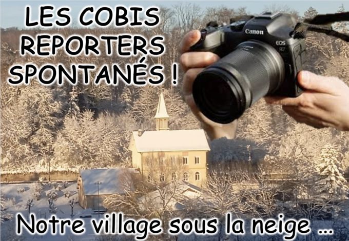cobis reporters1