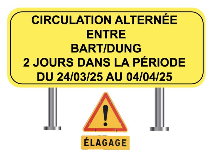 travaux d'élagage1