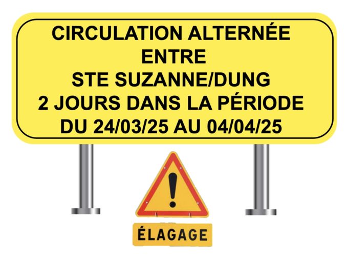 travaux d'élagage Ste Suzanne/dung1