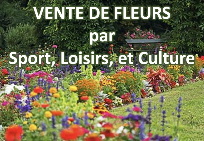 vente de fleurs SLC1