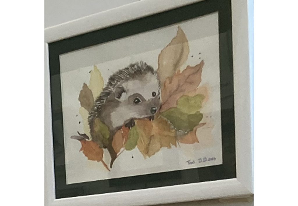 expo aquarelle9