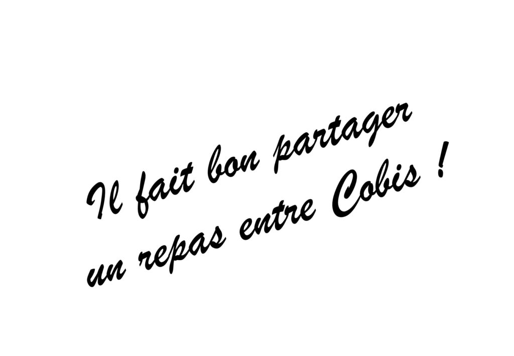 sanglier à la broche4