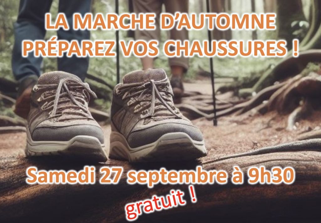 marche mycologique1